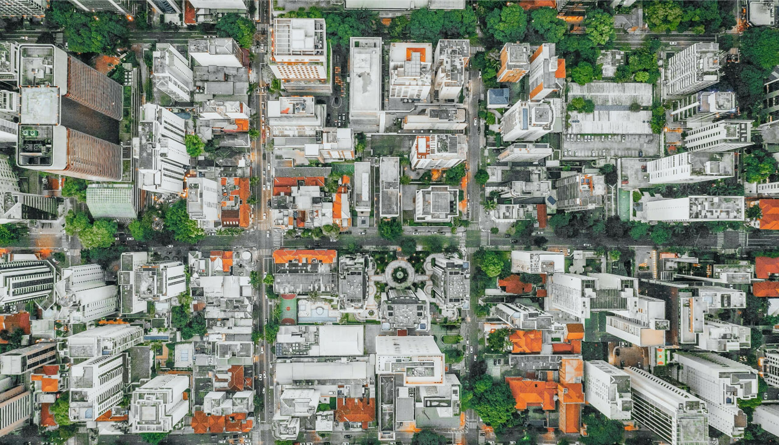 <span class="text-primary-50">Creating <strong>positive change</strong></span>